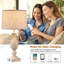 Lampe de table Waldoboro USB