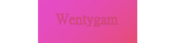 Wentygam logo