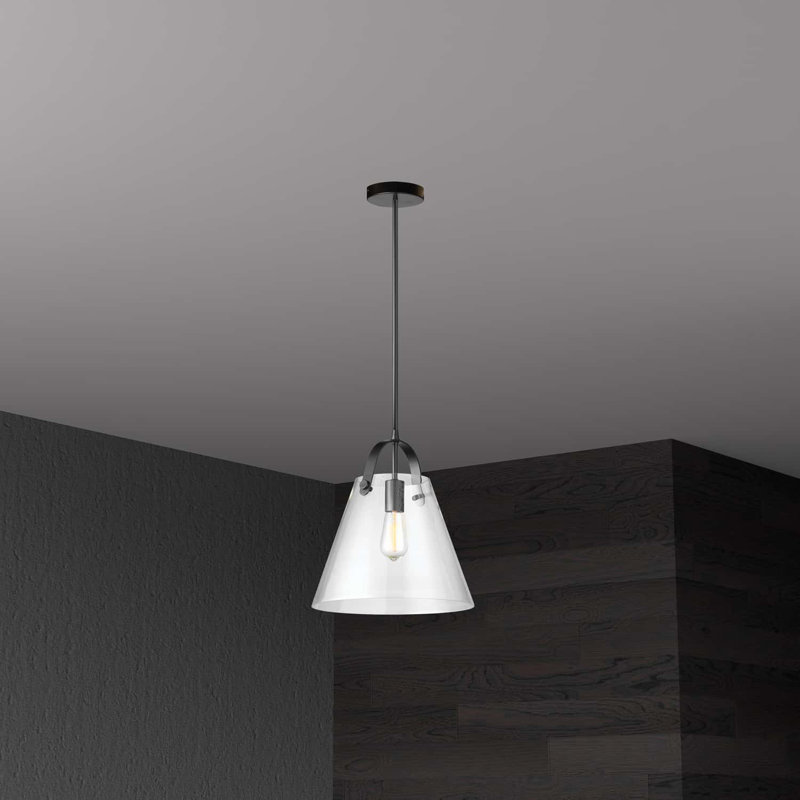 Eben 1 - Light Single Pendant, Black
