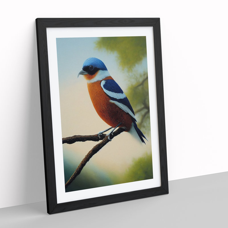 A Splendid Bird - Single Picture Frame Print, Black Framed, 64cm H x 46cm W x 2cm D