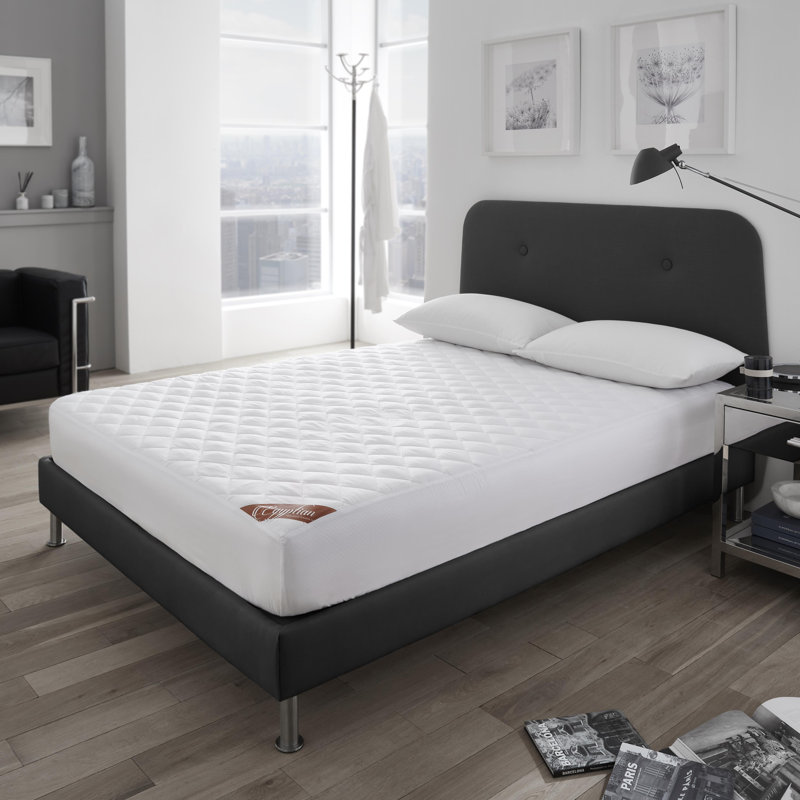 Fitted Mattress Protector Case Pack, Kingsize (5')