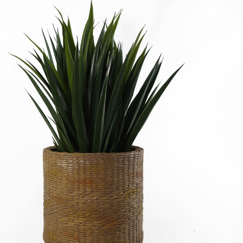 Large Planters Plant Pots 54cm Plant in Fiberstone Pot Liner