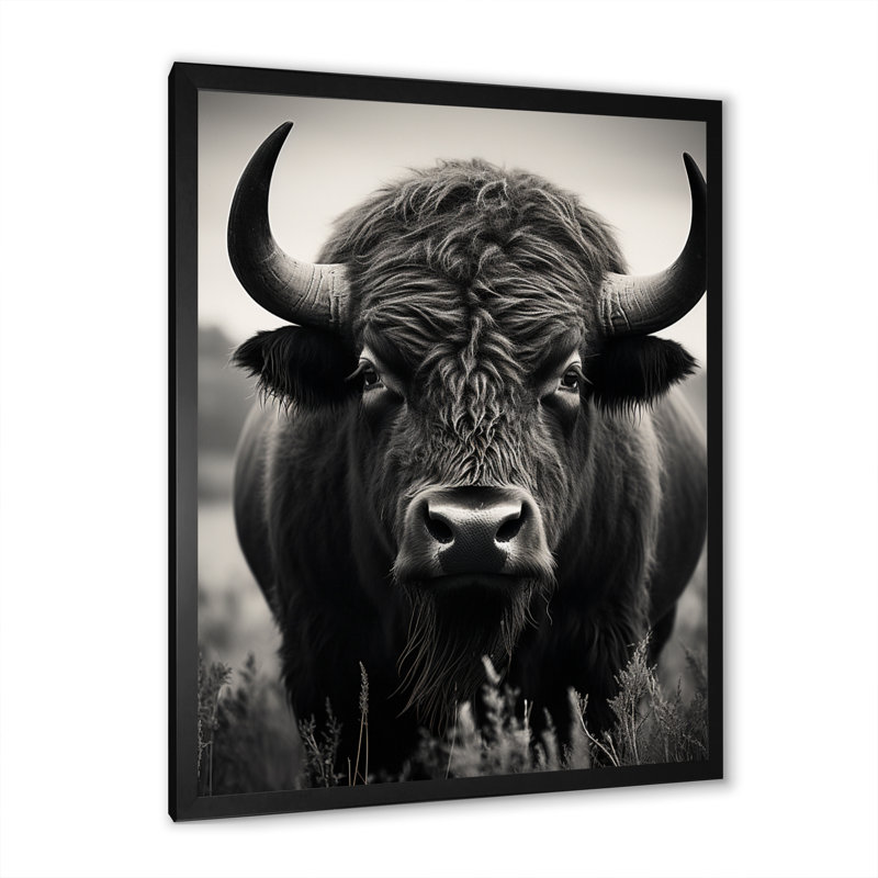 Bison Bison Grazing - Bison Wall Art, 20" H x 12" W x 1" D, Black Single Picture Framed