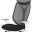 Sabrina Polyester Blend Office Chair with Headrest-1500613789