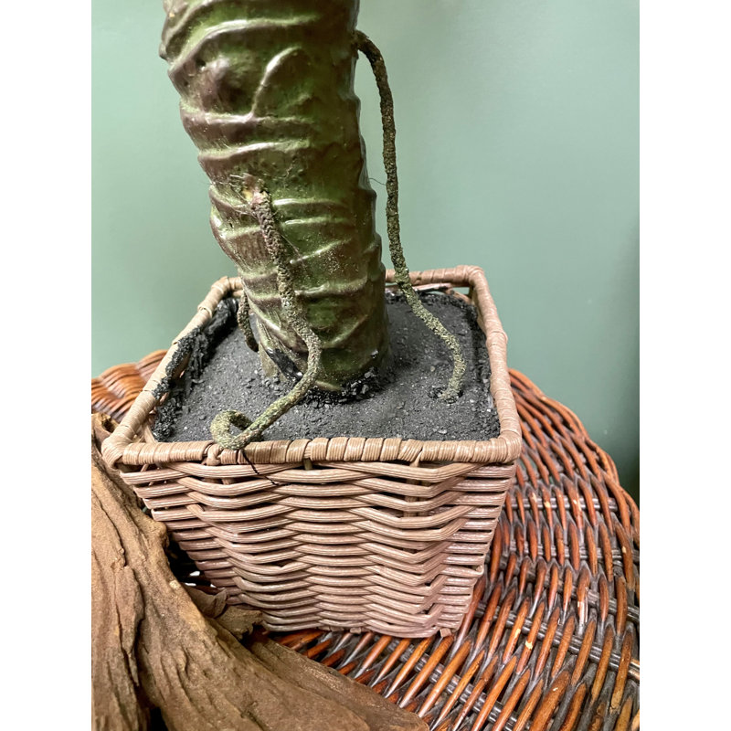 Philodendron en pot 5 pi, H 36 po x l 24 po x P 20 po