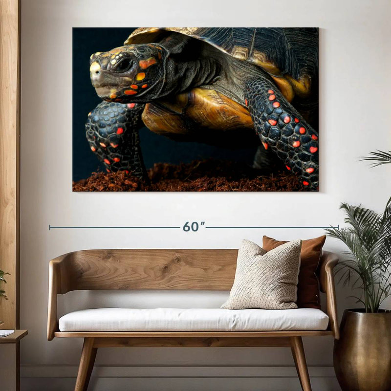 Brampt Amazon Red Footed Tortoise, 34" H x 51" W