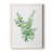 Eucalyptus III " Eucalyptus III "-123990515-123990512