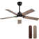 Derick 52'' 5-Blade Modern Ceiling Fan with LED Light and Remote Control
