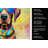 Chocolate Labrador Hippie Dawg Kitchen Towel