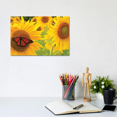 Monarch on Sunflowers 1 Piece Wrapped Canvas Painting