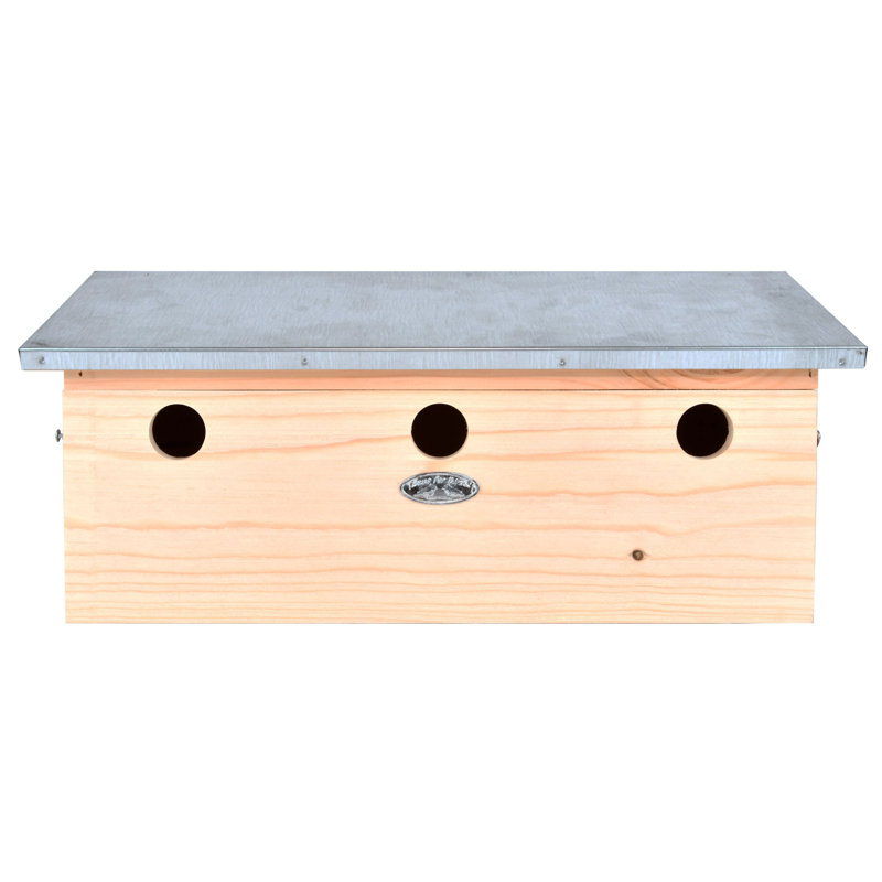 Sparrow Flat Horizontal