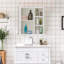 Aaleeyah Wall Mounted Required Bathroom Cabinet
