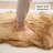 Charleigh Performance Sheepskin Indoor Rug-70657337