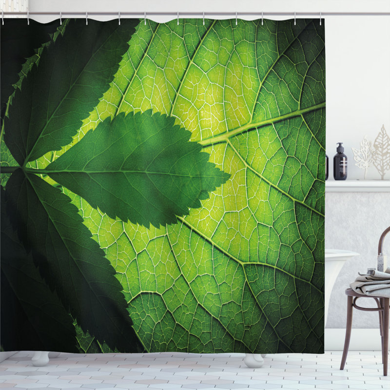 Rideau de douche simple avec feuille avec veine décoration, H 69 po x l 70 po