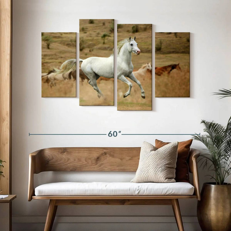 Prized White Stallion