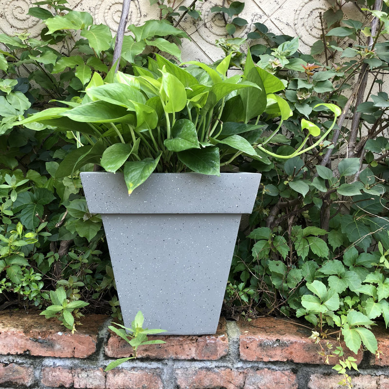 Pot de fleurs Northam, H 11 po x l 11 po x P 11 po