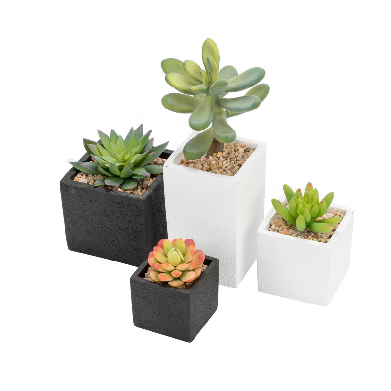 Pot Planter