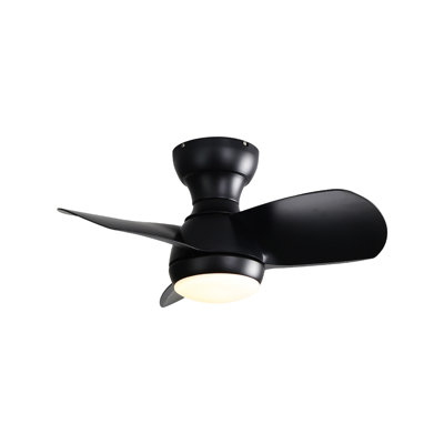 Kyleon 23'' Ceiling Fan with LED Lights
