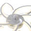 Chantily Ceiling Fan with LED Lights