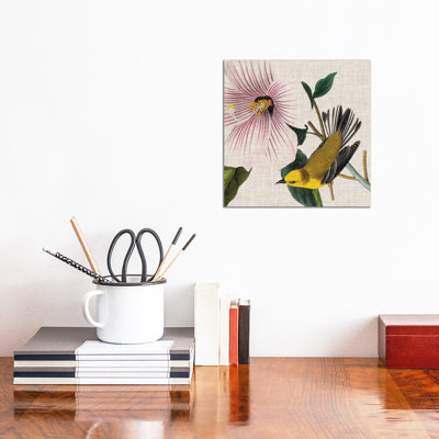 Avian Crop V by John James Audubon - Wrapped Canvas Painting