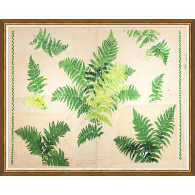 Fern (Var. 1) par Paule Marrot - reproduction d'un seul cadre