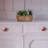 1 1/4" Diameter Mushroom Knob Multipack-99170804