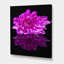Fleur de chrysanthème simple sur reflet noir - photographie sur toile-59781003-59724982