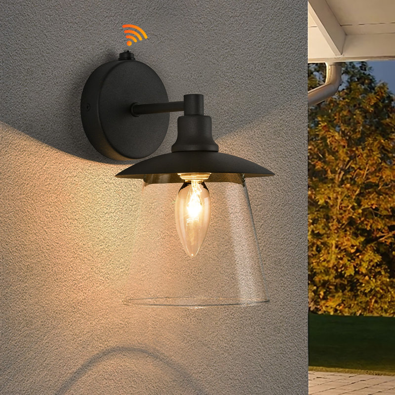 Seerat Matte Black and Powder Coated Finish 1 - Bulb 20 cm H Hardwired Outdoor Barn Light with Dusk to Dawn