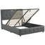 Nalani Upholstered Ottoman Storage Bed-149435683