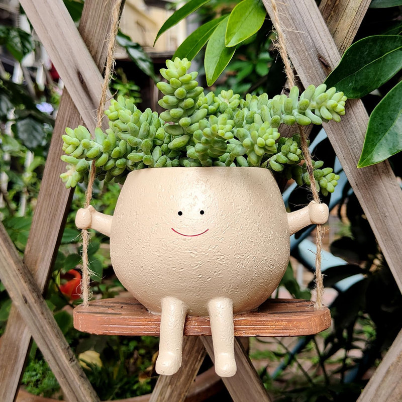 Jardinières suspendues pour plantes d'intérieur Swinging