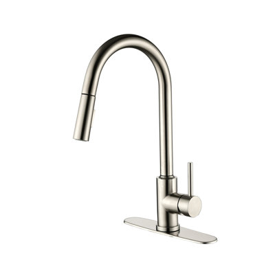 Kitchen Faucet With Pull Down Sprayer