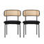 Velvet Upholstered Side Chair in Black