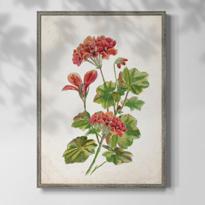 Scarlet Botanical II Framed Print - Solid Wood