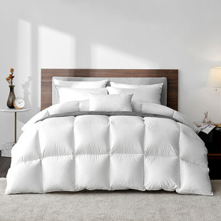 Miskolc 750in³/oz Fill Power All Season Goose Down Comforter