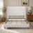 Harper Tall Headboard Upholstered Bed / 54" High Headboard / Elegant Simplicity