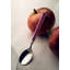 Fantasia Stainless Steel-498269310