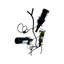 Branche de 6 bouteilles Wild Rose Design