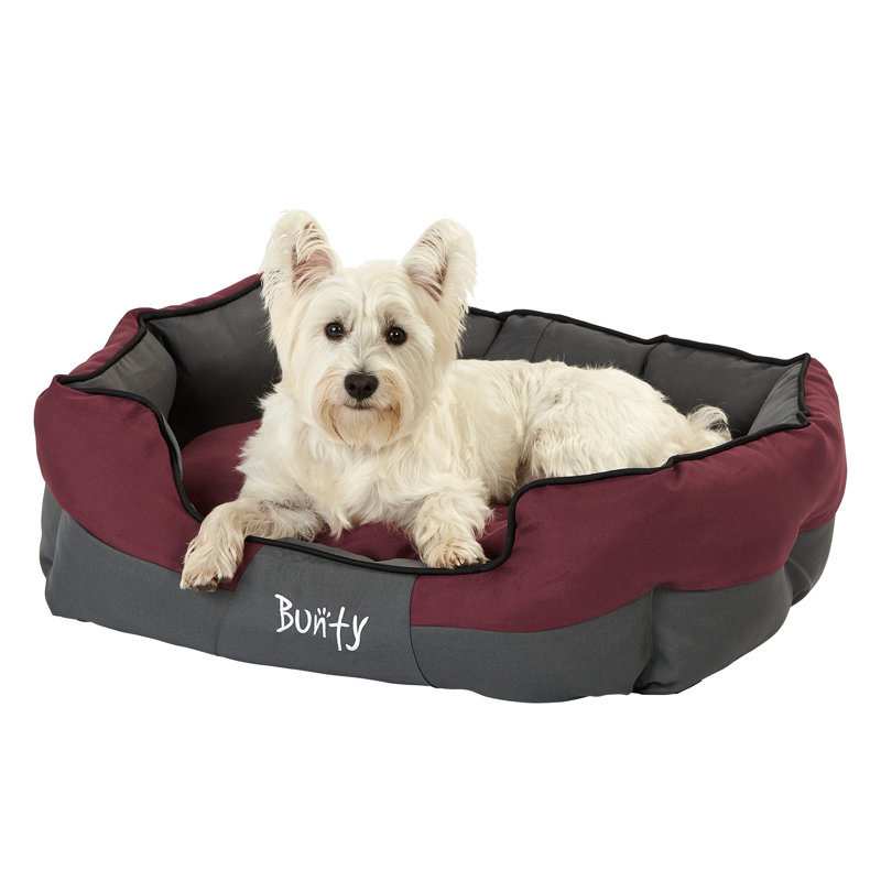 Levesque Polyester Pet Bed, 25cm H x 75cm W x 60cm D, Red