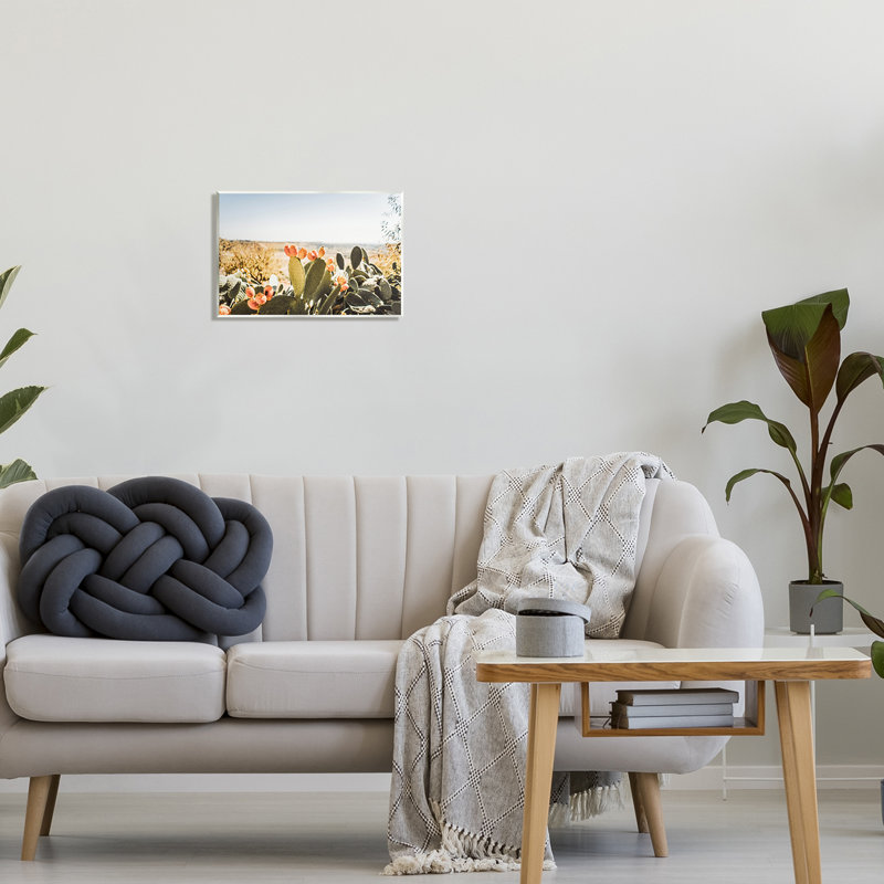 Cactus ensoleillé par Krista Broadway - photographie, H 10 po x l 15 po x P 0,5 po, Unframed