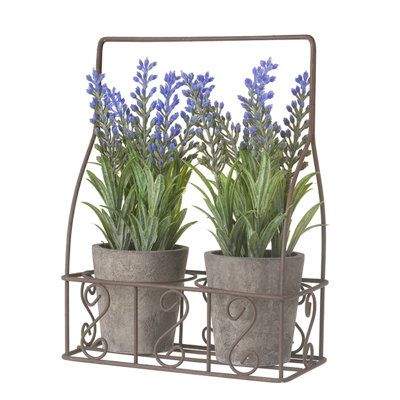 Lavender Arrangement in Pot