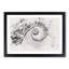 Spiral Staircase - Picture Frame Graphic Art Print-56877854-56877853
