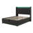 Upholstered Bed, 360 Surround LED Function, Buttons/Apps/Remote Control, Hydraulic Storage Bed With USB Type-C Charging-920729830-920729831