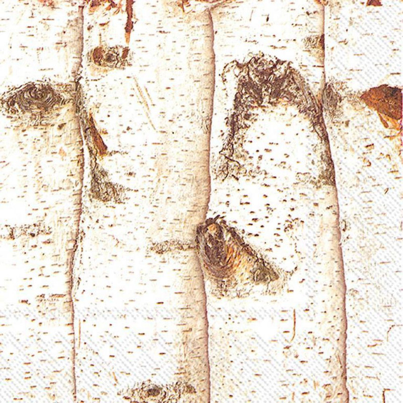 Serviettes jetables pour 20 personnes
