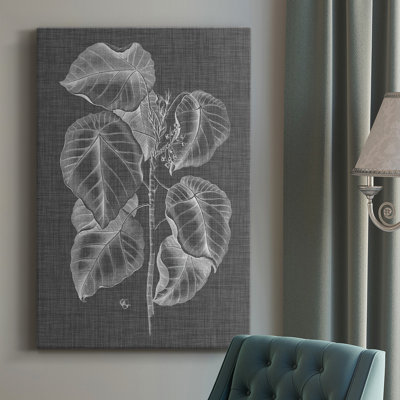 Graphic Foliage IV  Wrapped Canvas Graphic Art