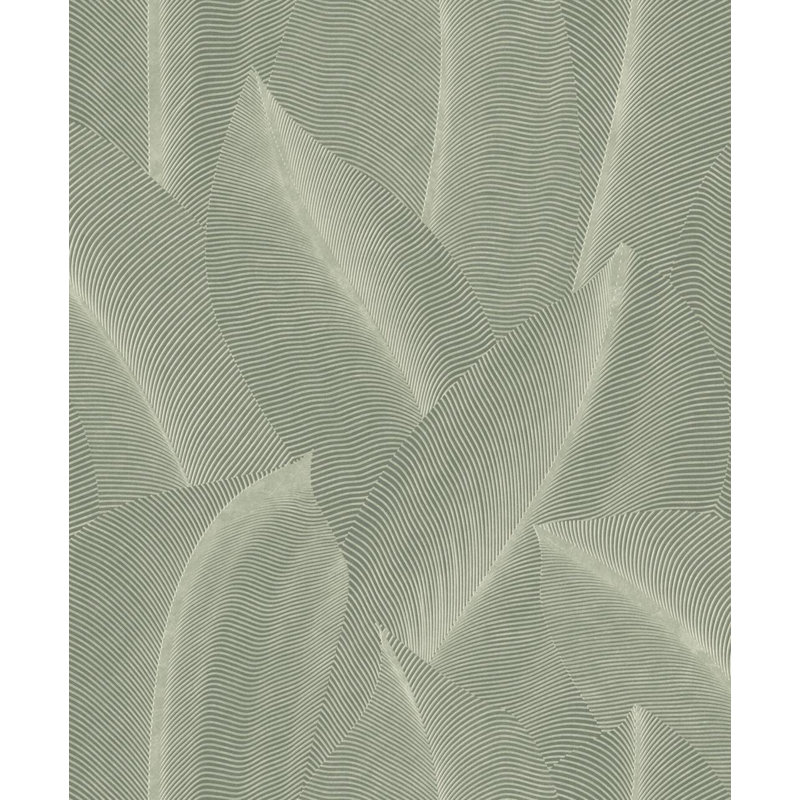 Rouleau de fleurs Beechum, Mousse