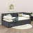 Upholstered Daybed with Trundle Sofa Bed Frame-96415326-113140168