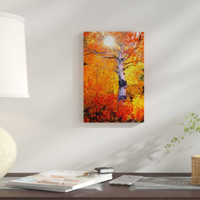 «Colorful Aspen Tree in Autumn», reproduction de photo sur toile