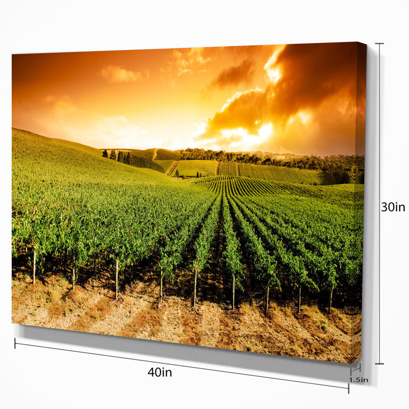 " Sunset Vineyard Panorama ", 16" H x 32" W x 1" D