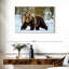 Adulte grizzly-107671340