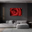 «Red Rose» par Tom Quartermaine-1937692974
